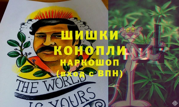 СК Новодвинск